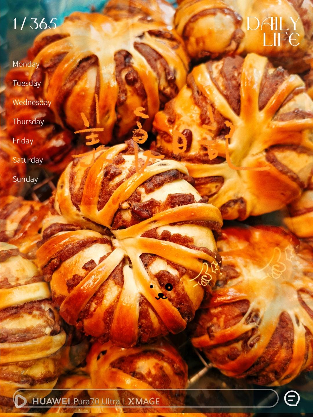 豆沙面包|包含5种整形方法|干货篇