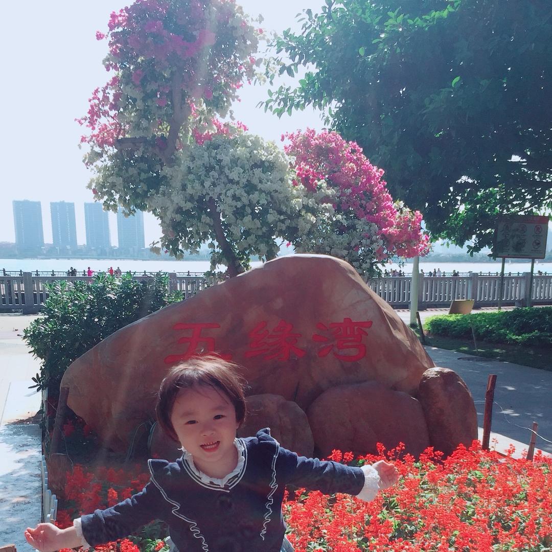 素语华缘