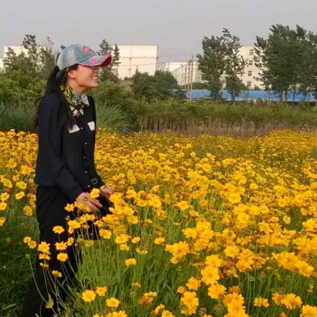 晴空蕾蕾