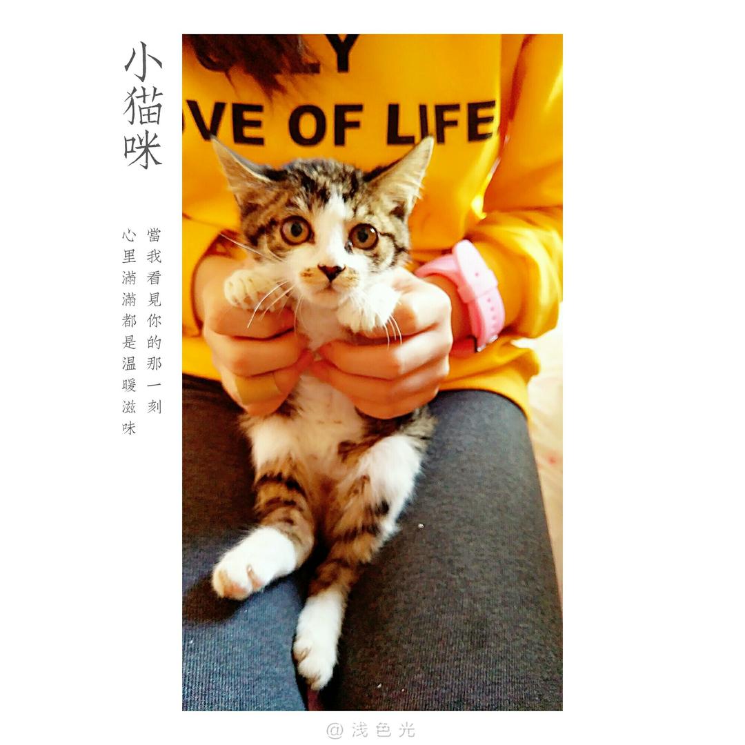 双人自行车
