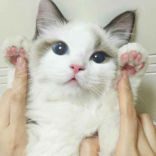 还行吧-