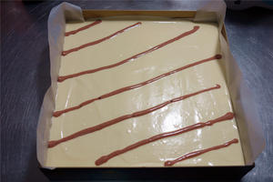 酸奶戚风蛋糕（26厘米定制烤盘）的做法 步骤19