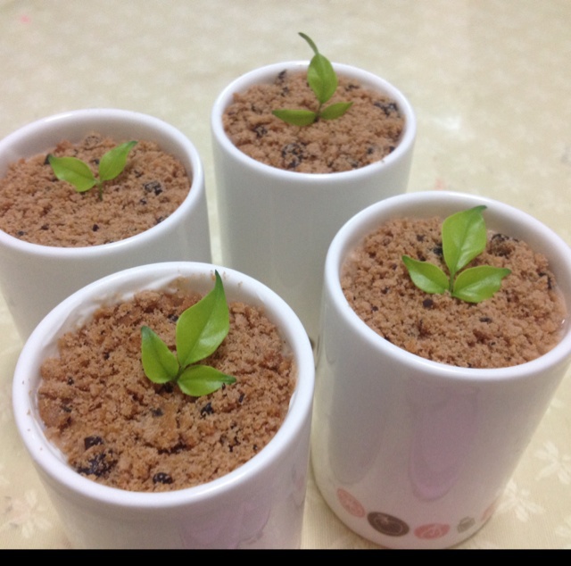小熊酸奶机自制酸奶