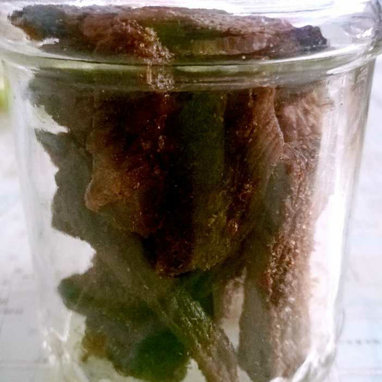 自制烤箱牛肉干