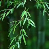 春风里-