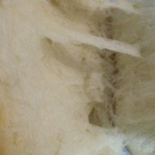 柔软拉丝吐司（东菱面包机）