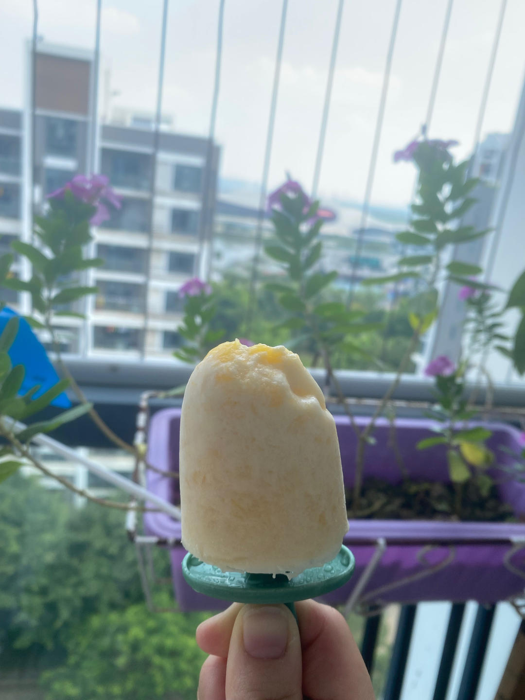 芒果雪糕