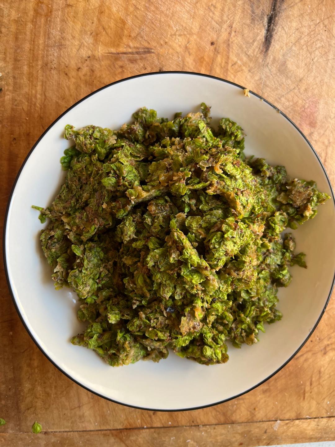 春天的味道榆钱