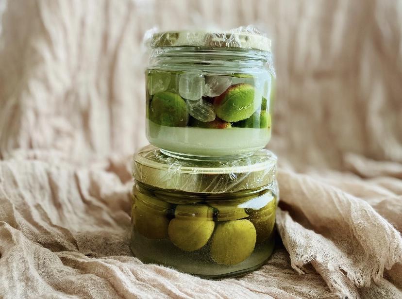 【青梅酒】梅子的沉醉时光（已填坑）