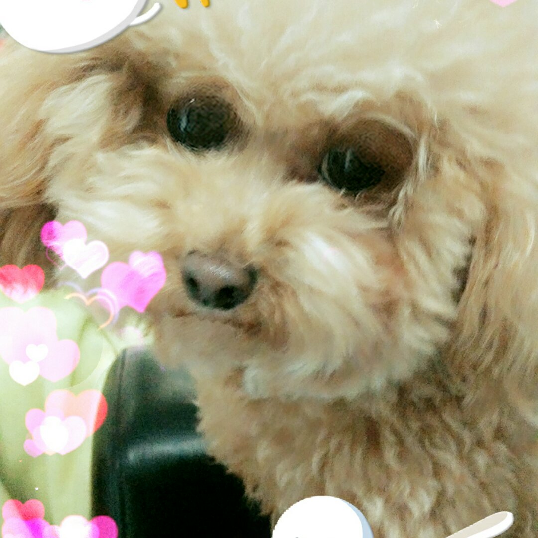 小怪兽的橡皮糖