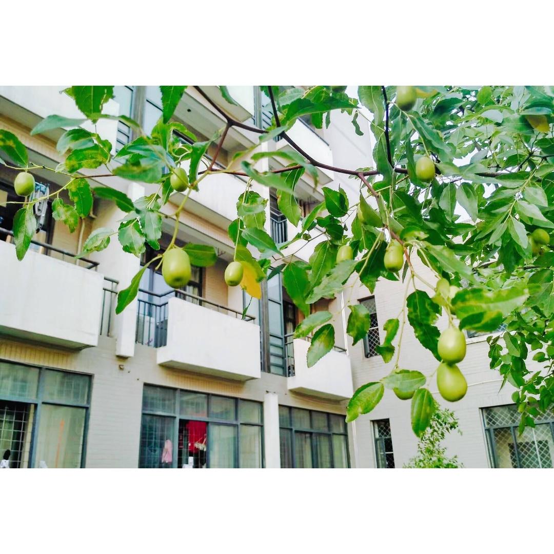 专属于你的味觉记忆