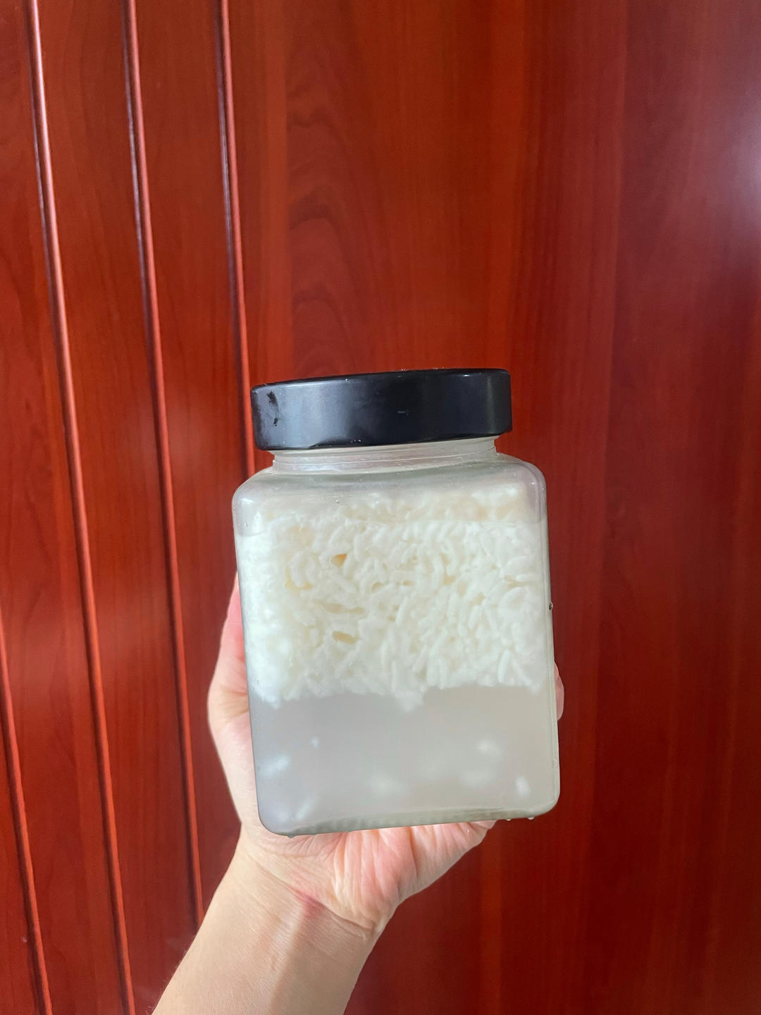 6分钟自制米酒【省事米酒最简易的打开方式】ヽ(•̀ω•́ )ゝ自制酒糟.醪糟.酒酿