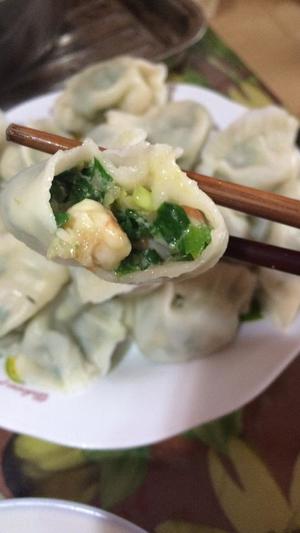 韭菜虾仁水饺的做法 步骤1