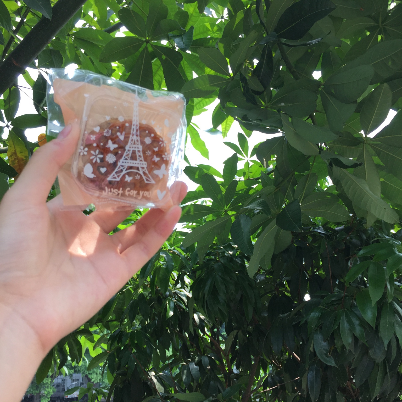 广式月饼——蛋黄莲蓉月饼