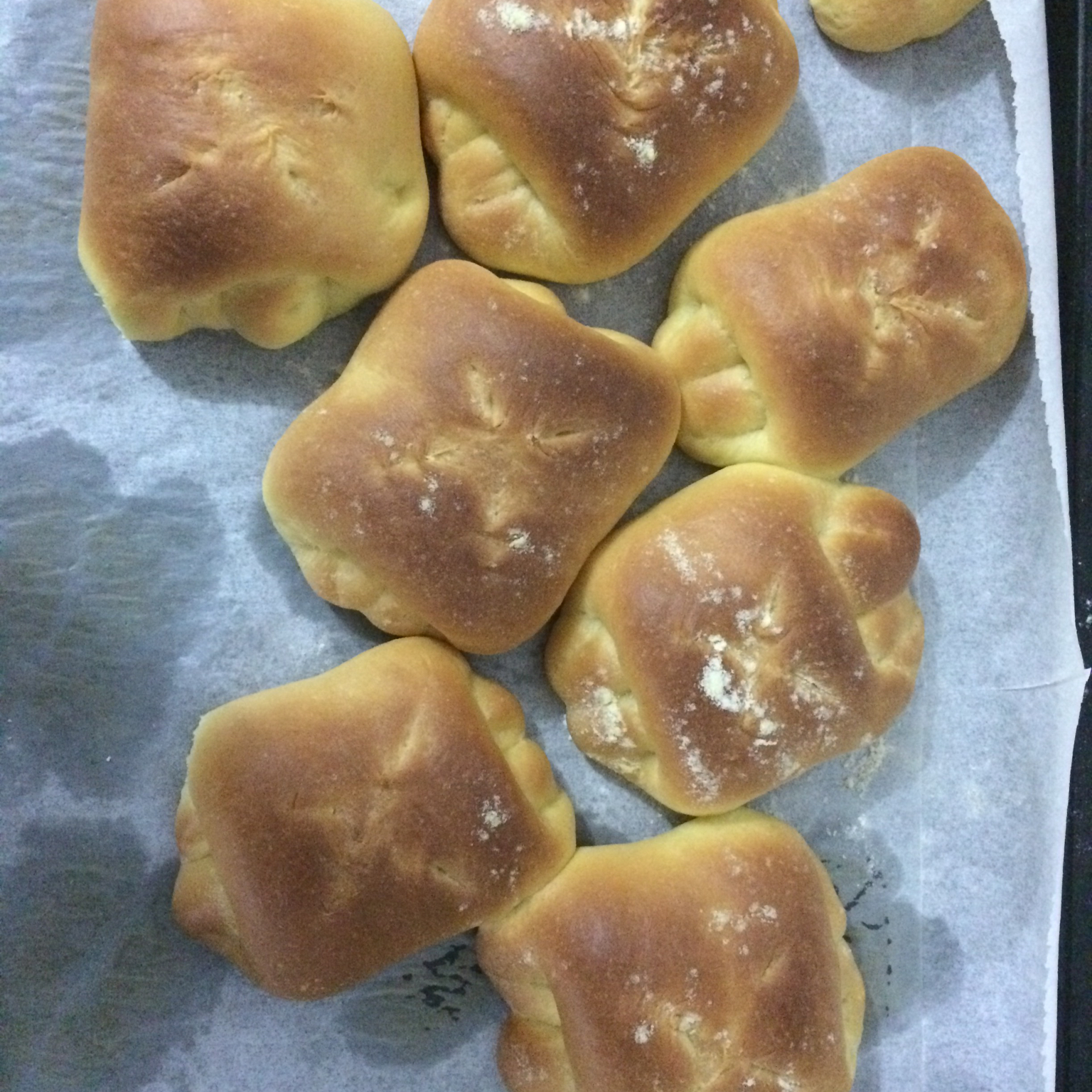 牛奶面包---5°冷藏基础发酵