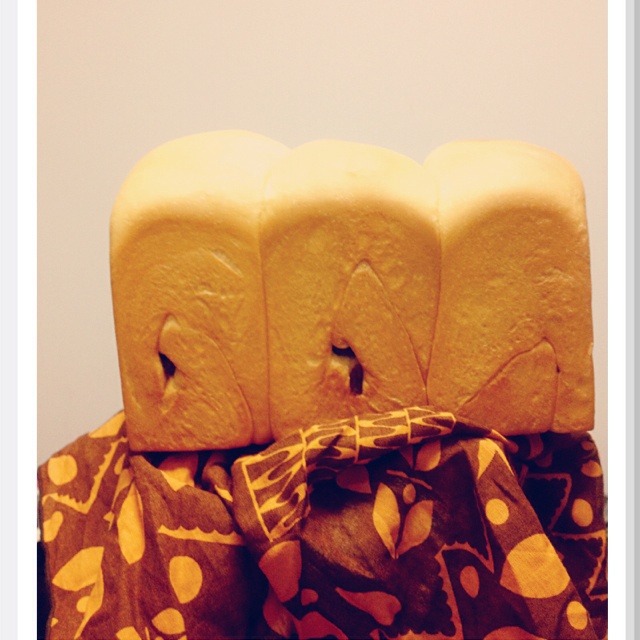 夺命软吐司(๑´ڡ`๑)超软拉丝极速方便的一次发酵吐司