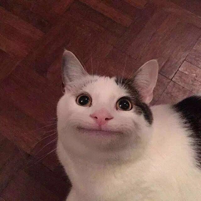 蛋白蛋糕（蒸）