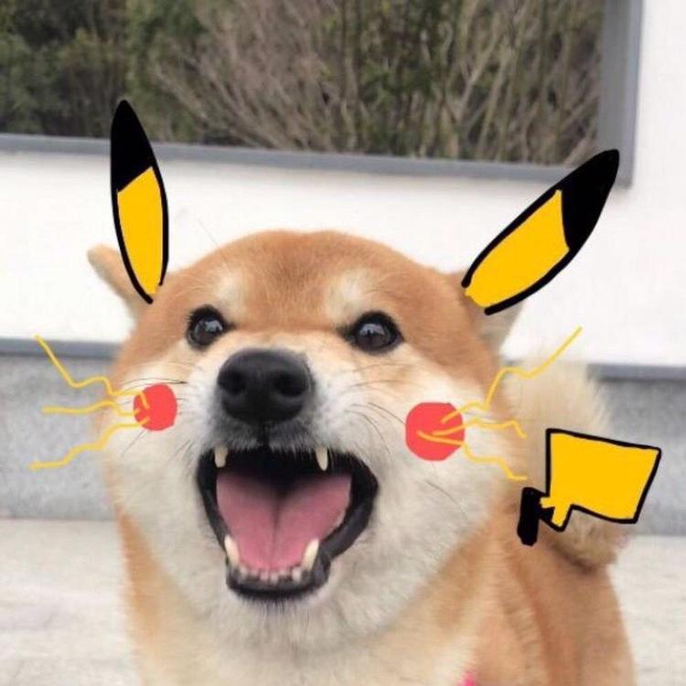 我很帅啦