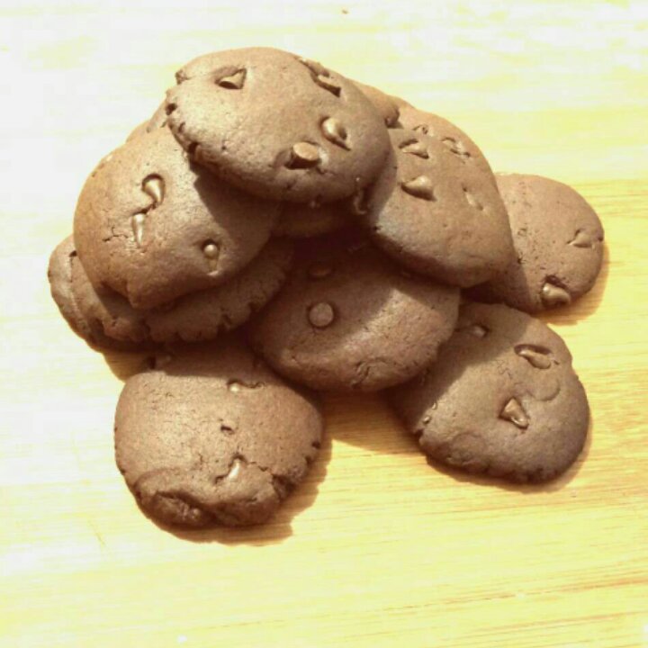 可可“趣多多”