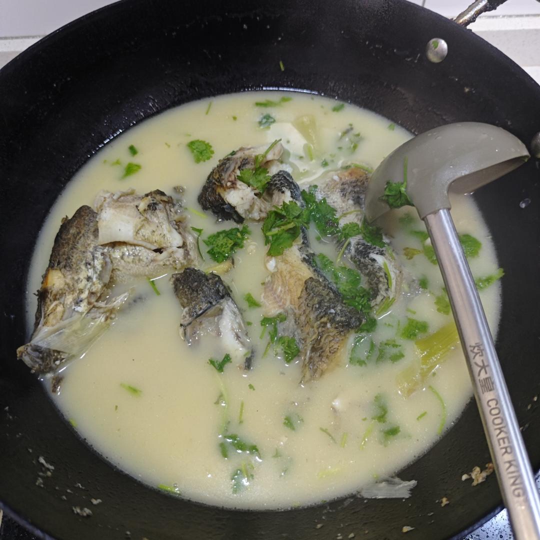 鲜浓鱼汤鲤鱼汤（鲫鱼汤）