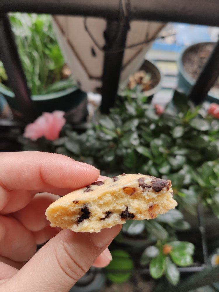 巧克力软式饼干