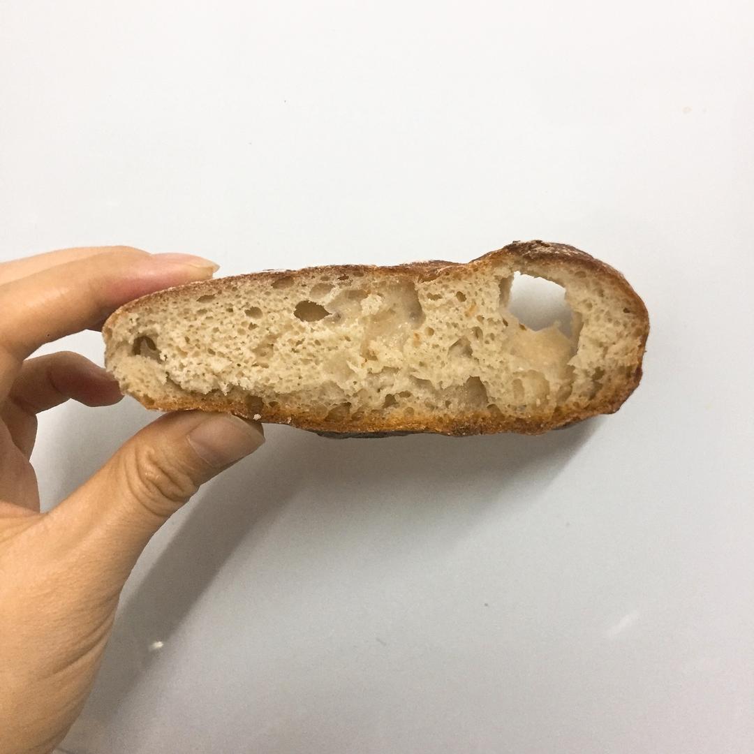 欧包/乡村面包-无油不用揉 No Knead Bread