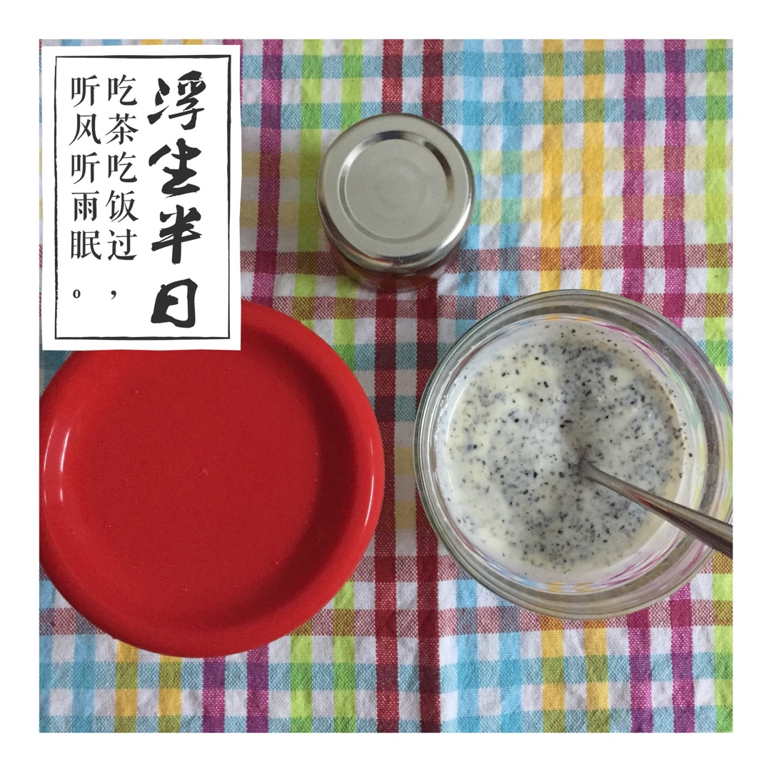 自制EasiYo易极优酸奶