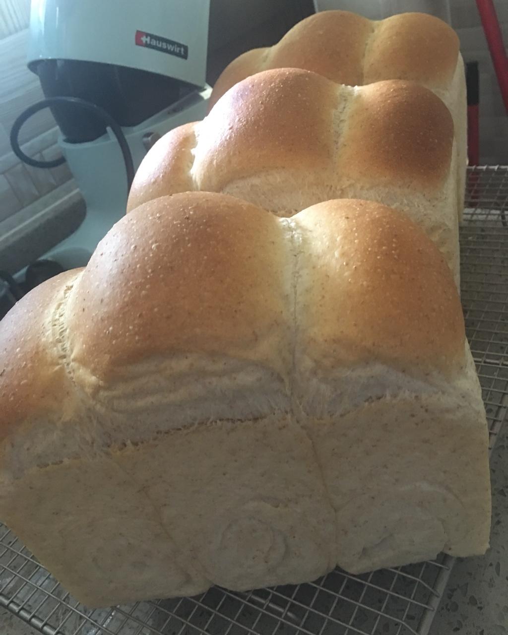 等待芳醇-天然酵母中种北海道吐司