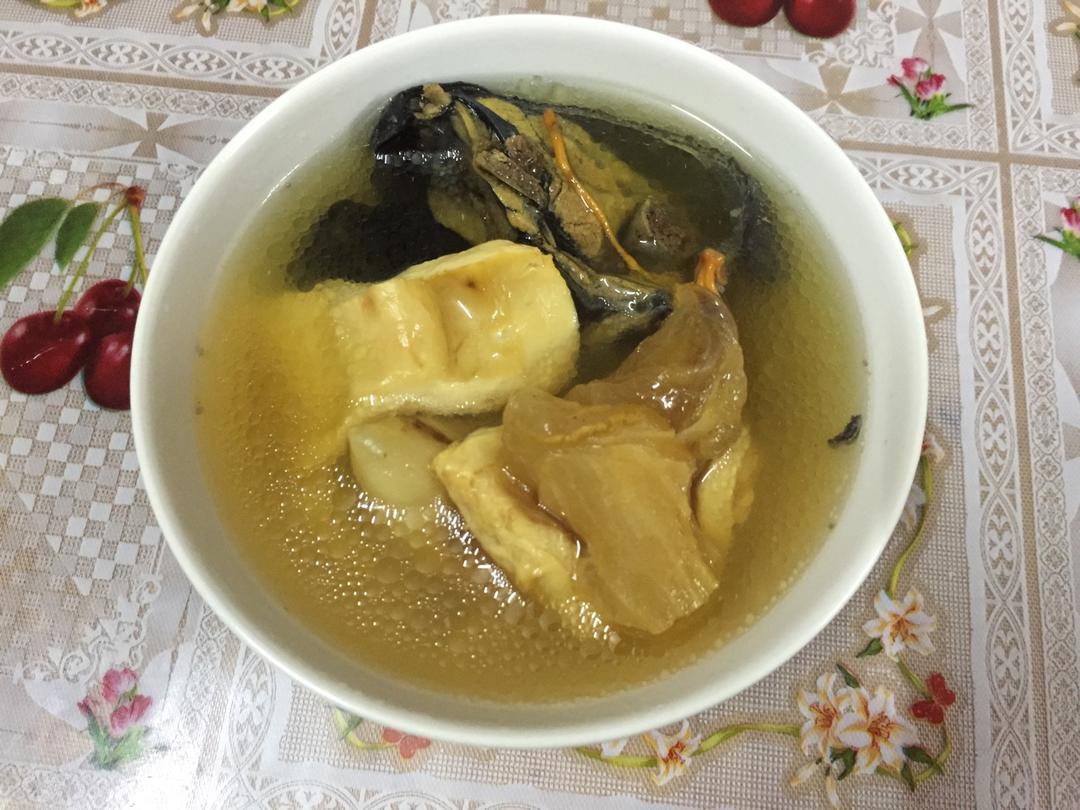 鱼胶鸡汤煲