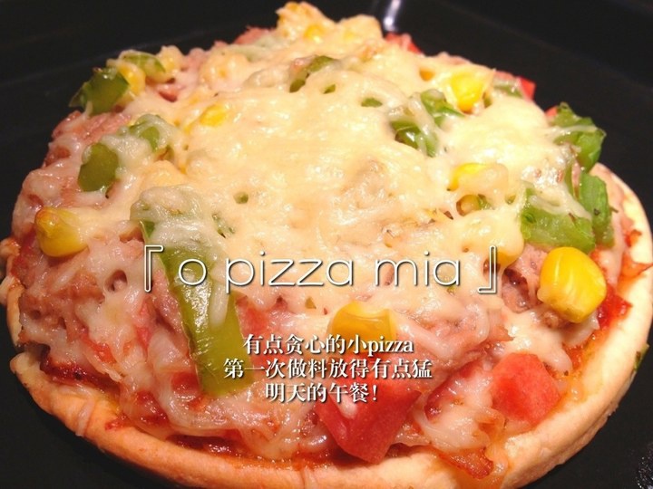 金枪鱼火腿pizza