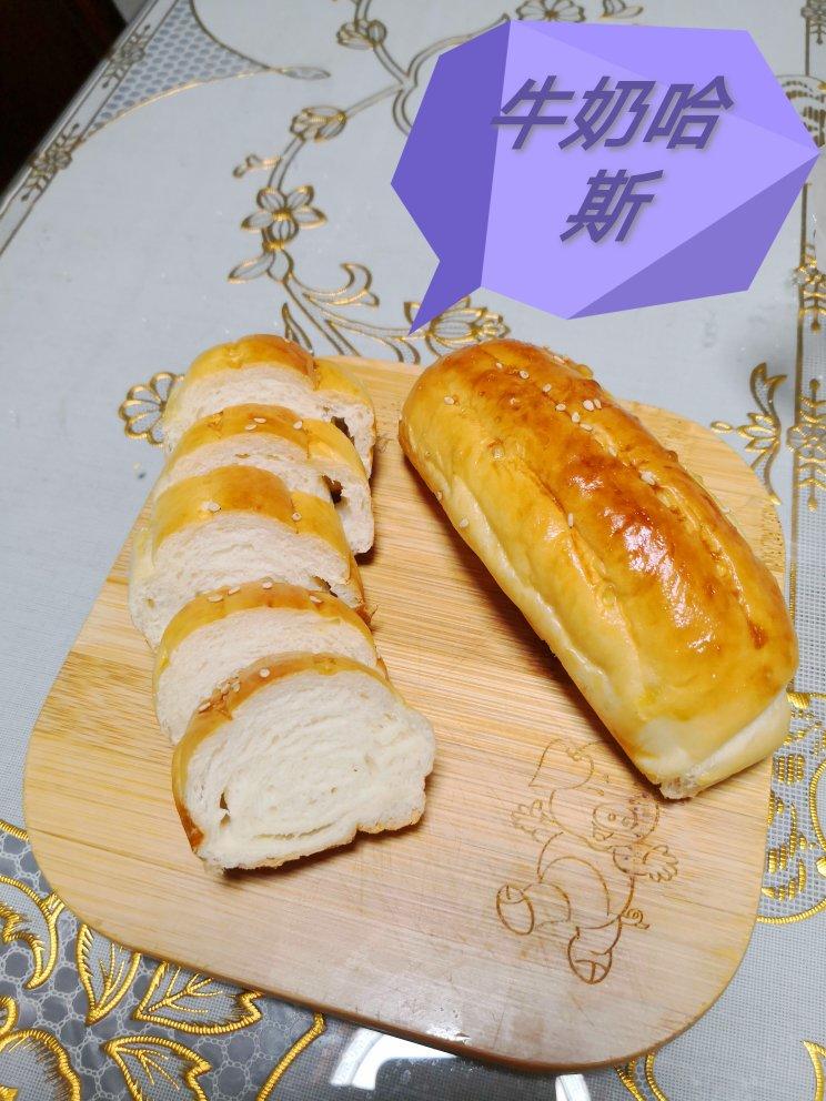 牛奶哈斯