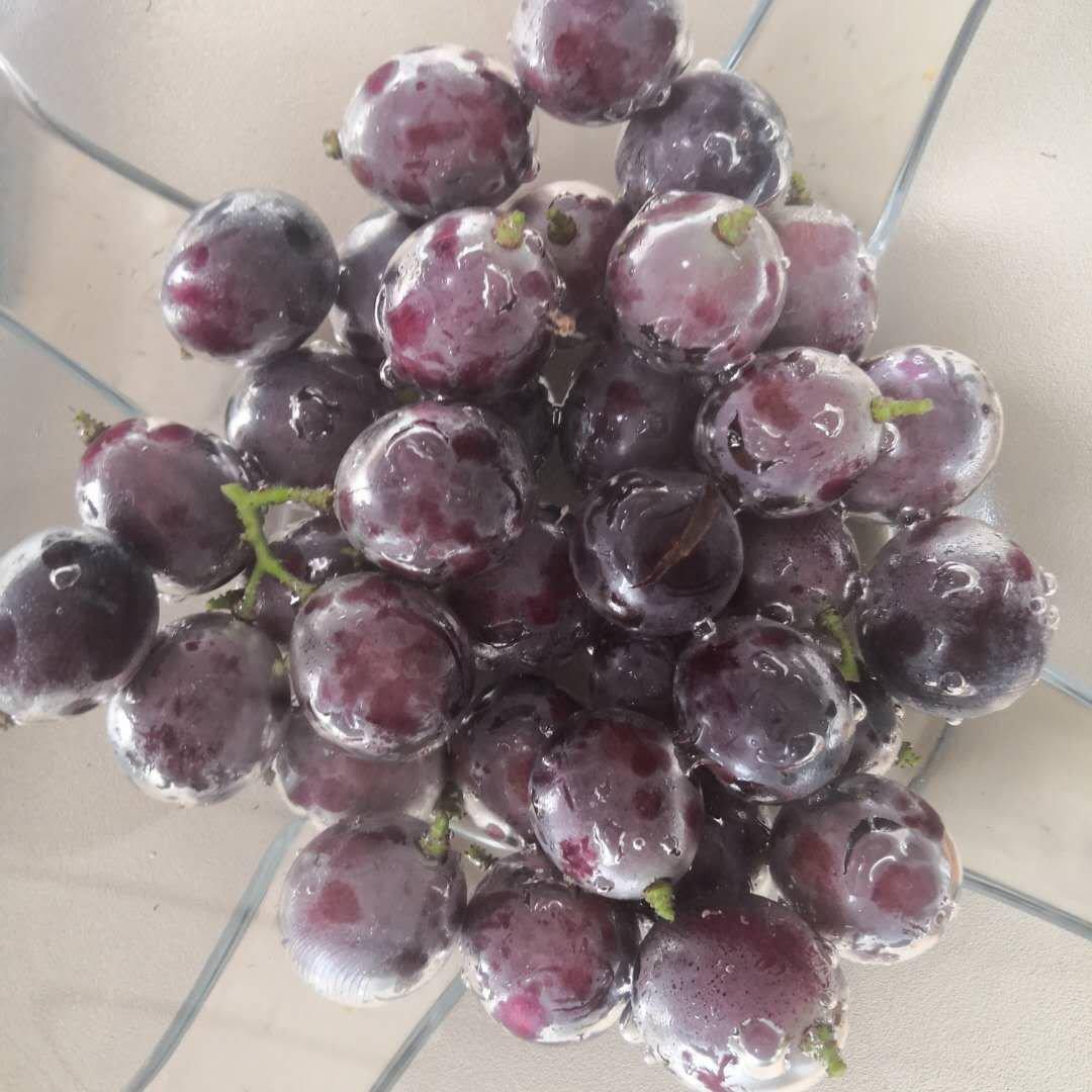 可以替代“冰激凌”的水果—健康低脂