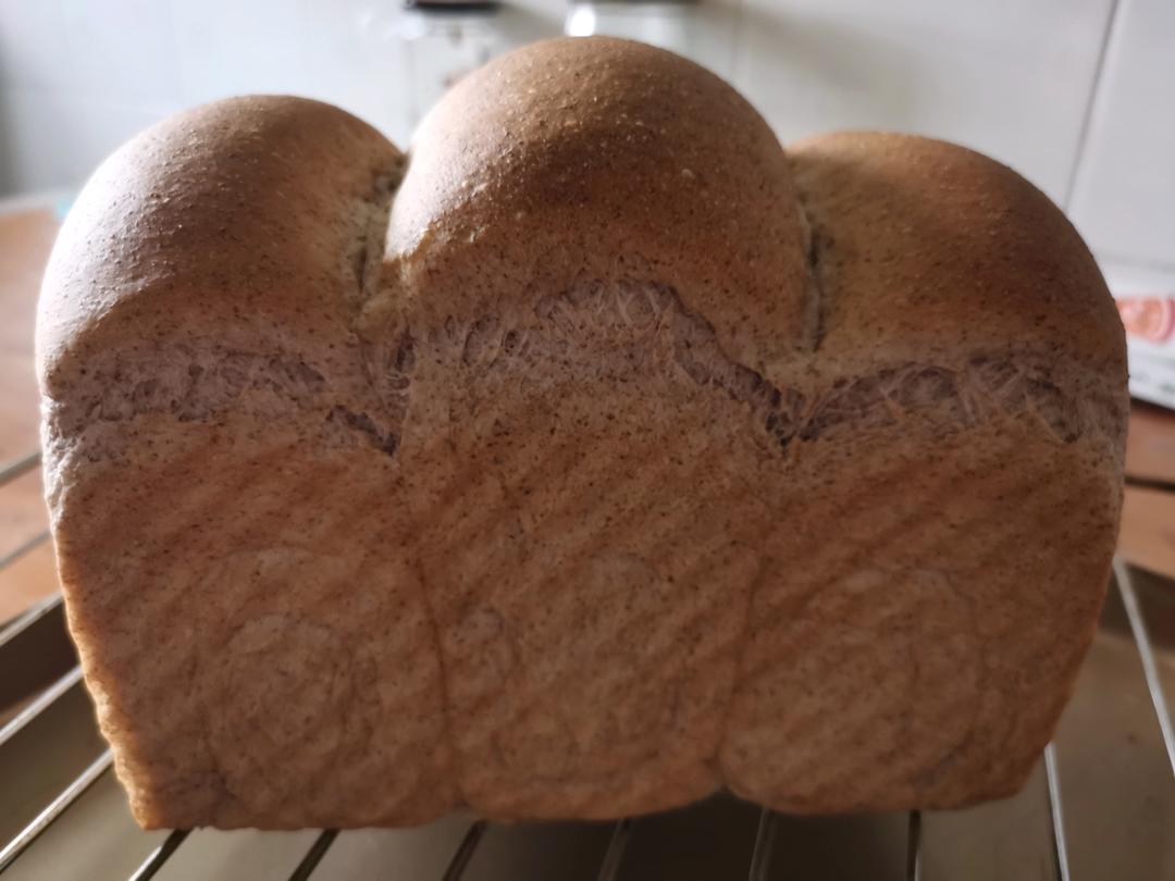 黑全麦波兰种吐司，这么柔软简直怀疑你是个假全麦！