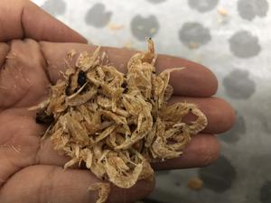 自制味精——香菇虾米粉的做法 步骤3
