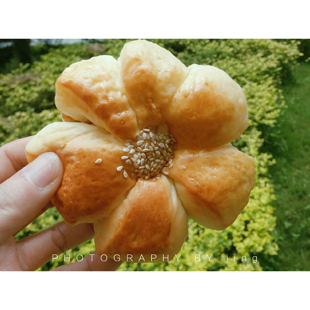 花式豆沙餐包