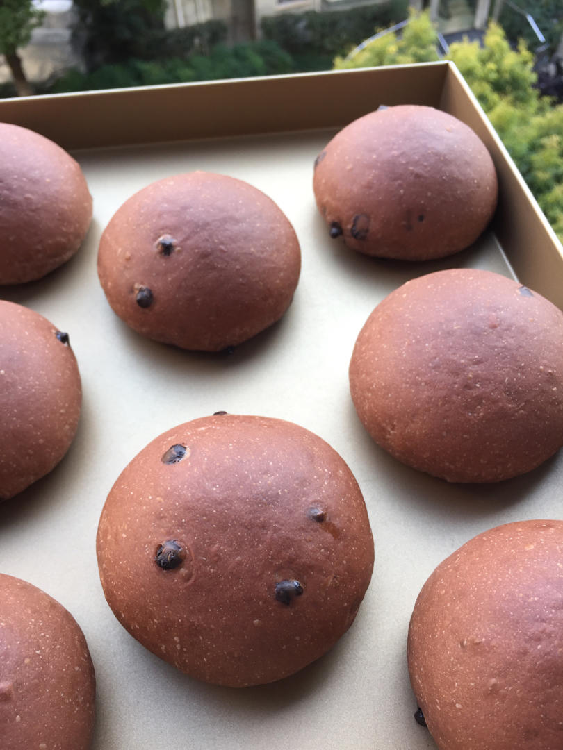 豪华版黑眼豆豆