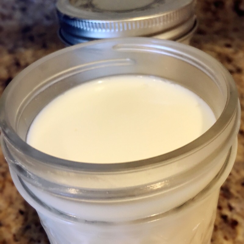 烤箱自制酸奶  Homemade Greek Yoghurt