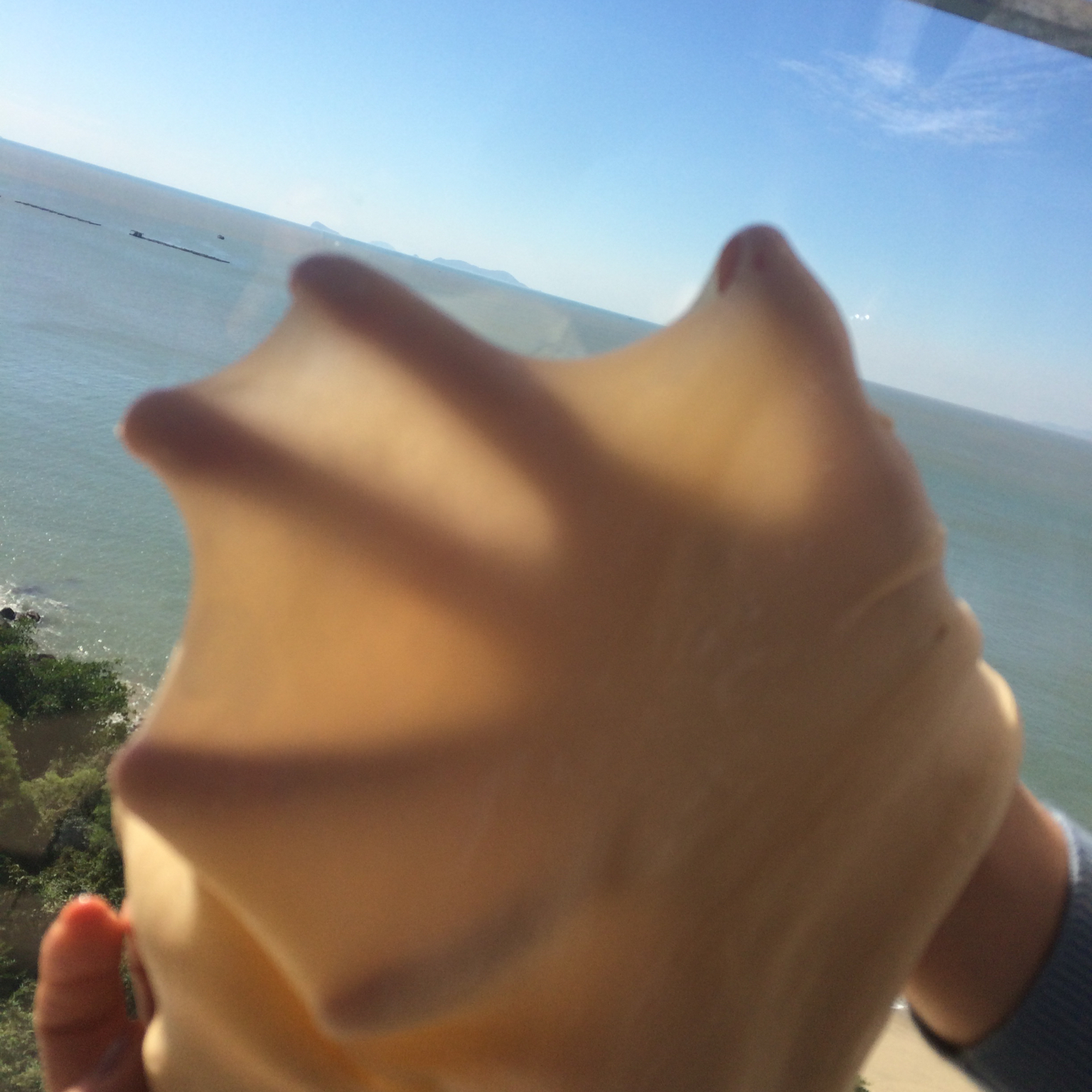 手工揉面，十五分钟面团变套套