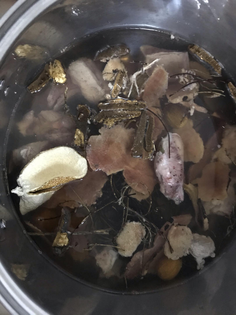 养肝解毒祛湿汤：鸡骨草土茯苓灵芝汤