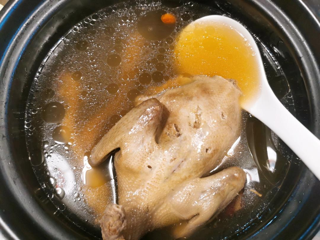 零失败养生鸽子汤