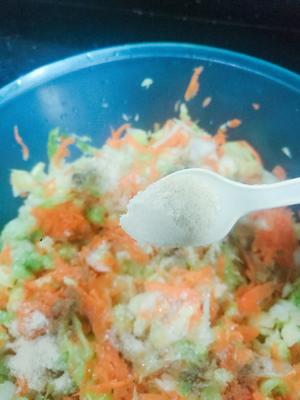 红萝卜圆白菜素菜包子（一次性发酵，附视频）的做法 步骤17