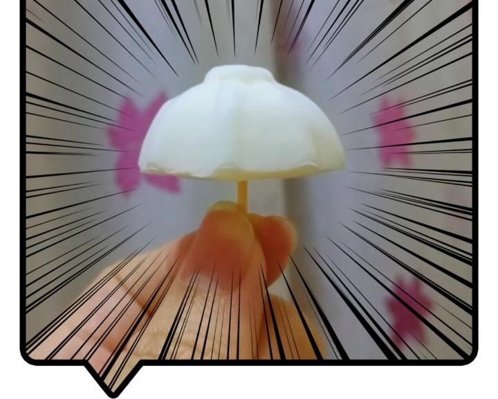 安慕希🍦冰棍/冰淇淋