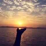 SUMMER_mq2w