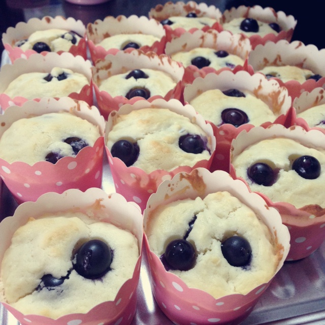 鲜奶油蓝莓纸杯蛋糕 Blueberry Crème  fraîche cupcake