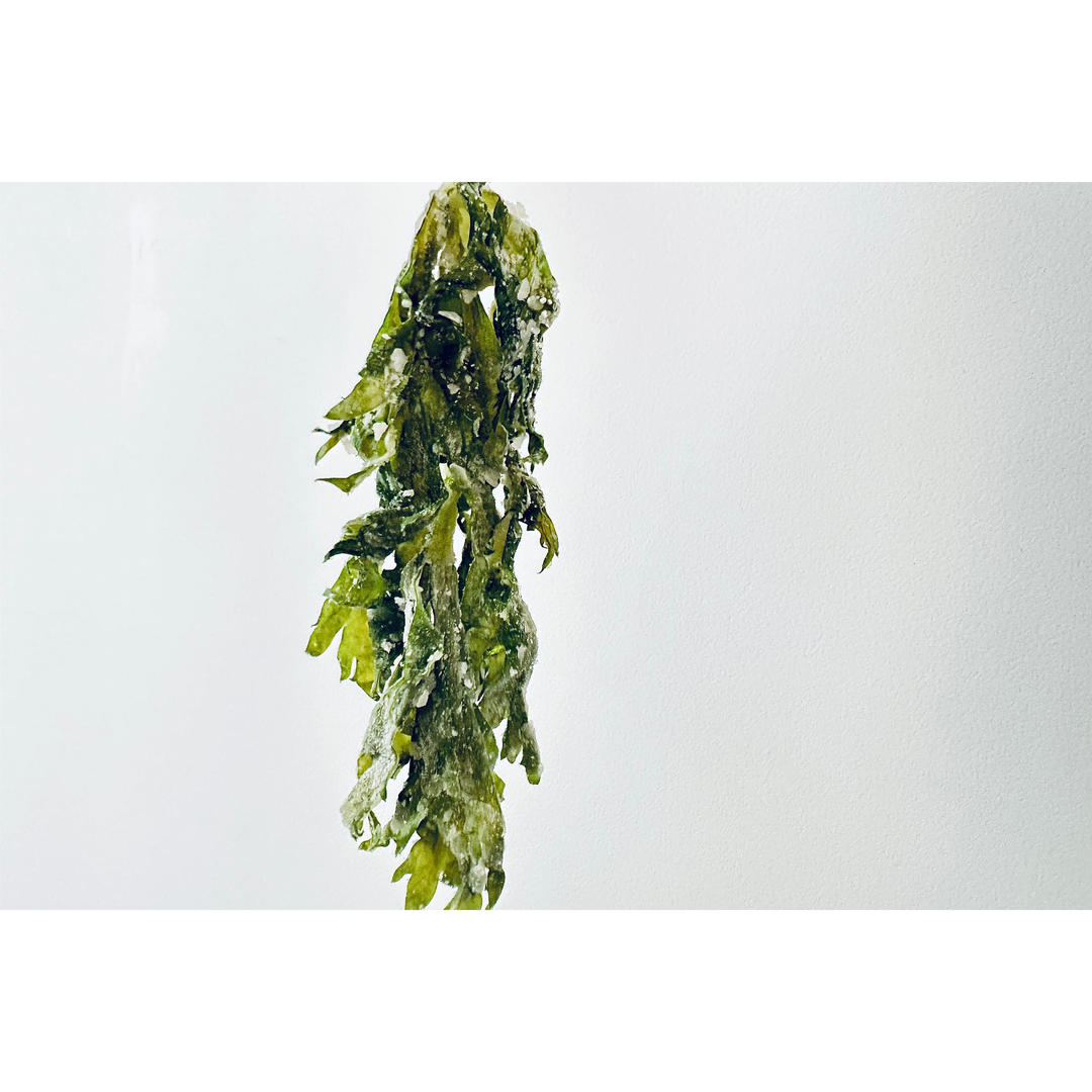 粗茶淡饭