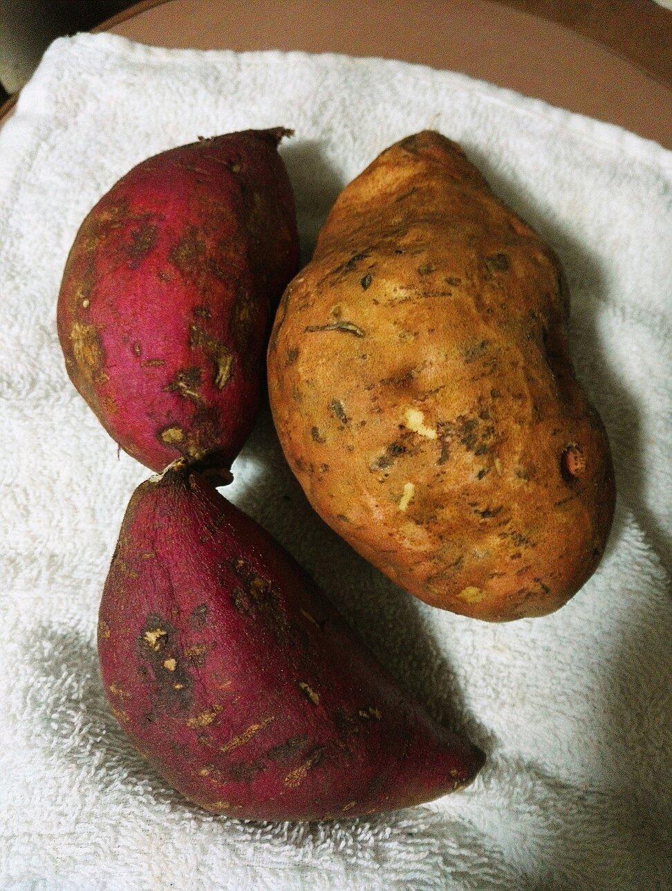 芝士奶油焗红薯