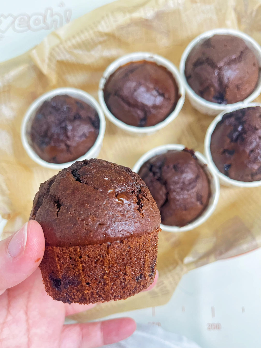 巧克力麦芬蛋糕