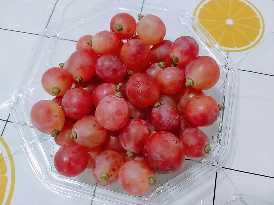 夏日集🍉