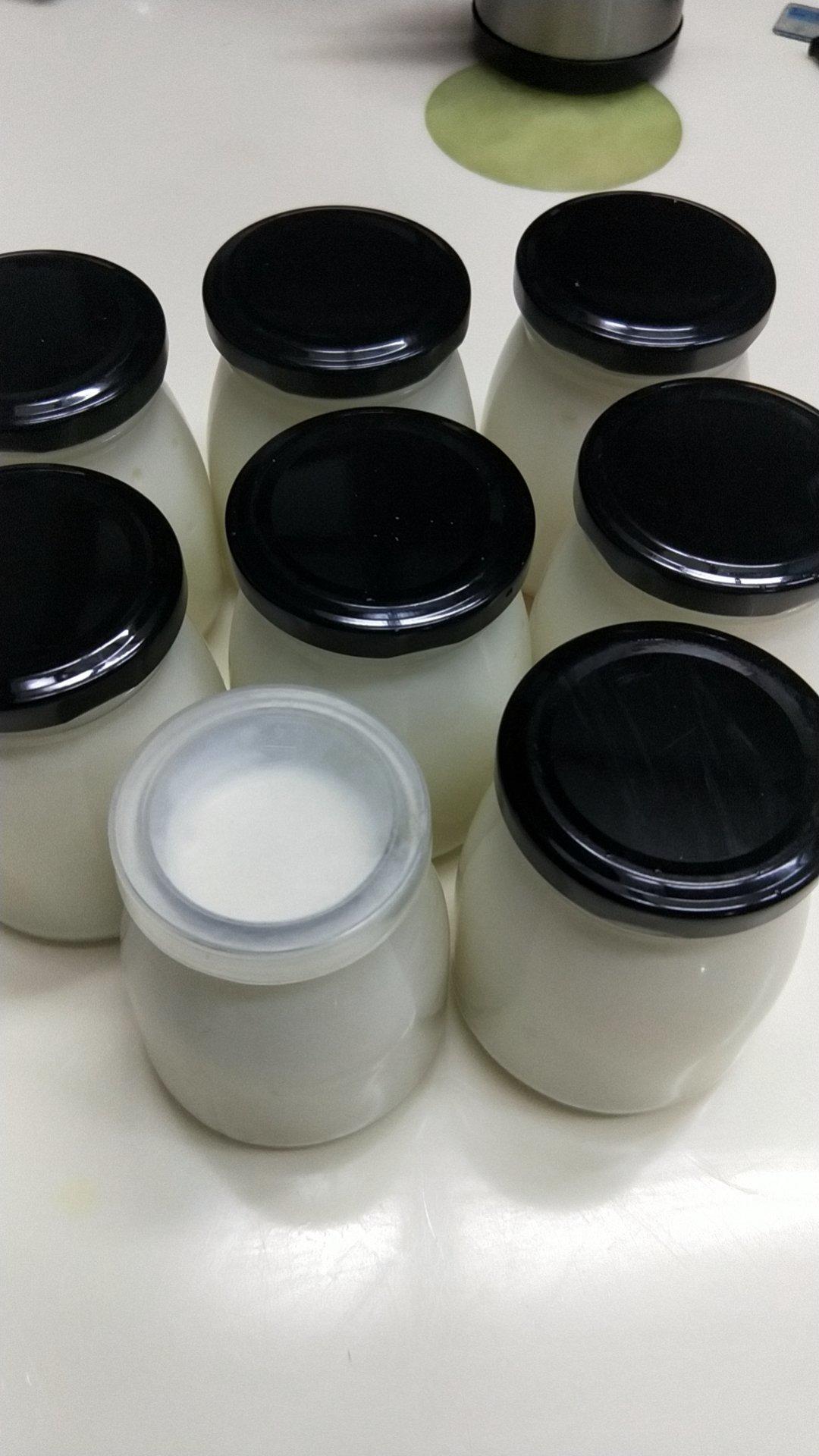 东菱面包机做酸奶