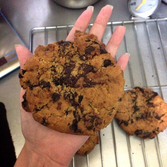 褐色黄油巧克力奇普饼干